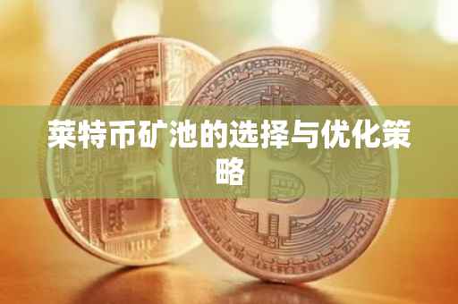 莱特币矿池的选择与优化策略