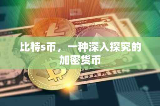 比特s币，一种深入探究的加密货币