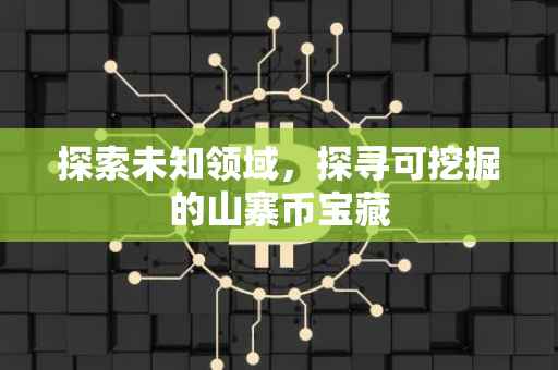 探索未知领域，探寻可挖掘的山寨币宝藏