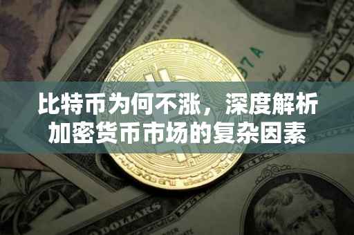比特币为何不涨，深度解析加密货币市场的复杂因素
