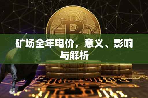 矿场全年电价，意义、影响与解析