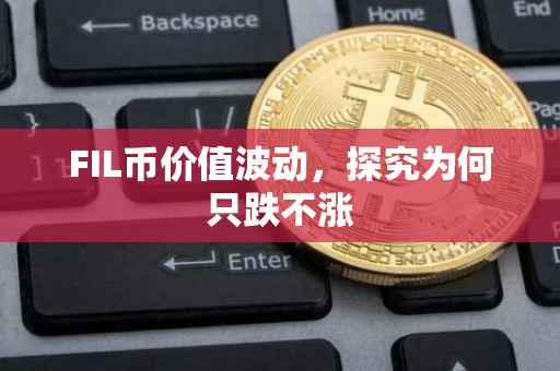 FIL币价值波动，探究为何只跌不涨
