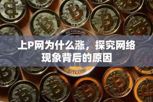 上P网为什么涨，探究网络现象背后的原因