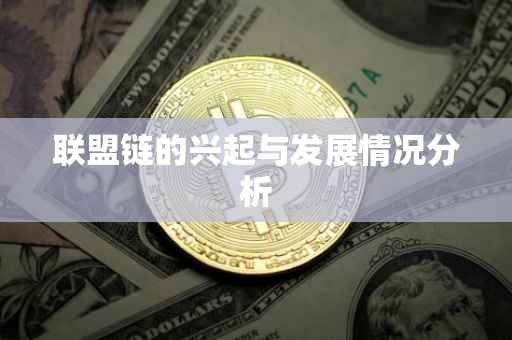 联盟链的兴起与发展情况分析