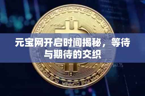 元宝网开启时间揭秘，等待与期待的交织