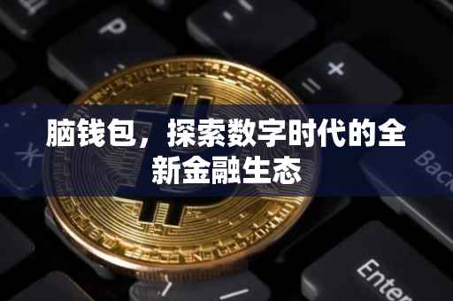 脑钱包，探索数字时代的全新金融生态
