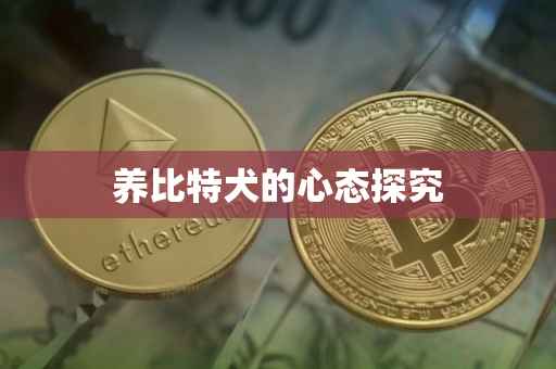 养比特犬的心态探究