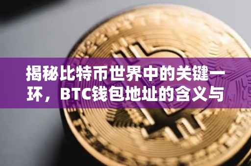揭秘比特币世界中的关键一环，BTC钱包地址的含义与重要性