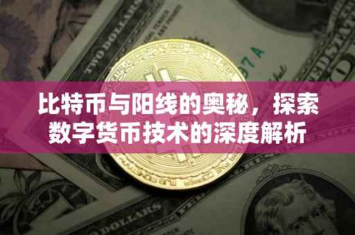 比特币与阳线的奥秘，探索数字货币技术的深度解析