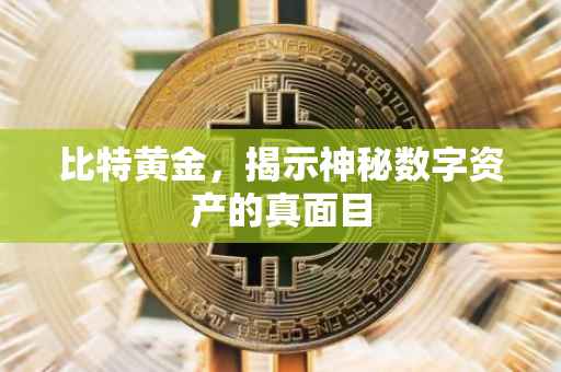 比特黄金，揭示神秘数字资产的真面目