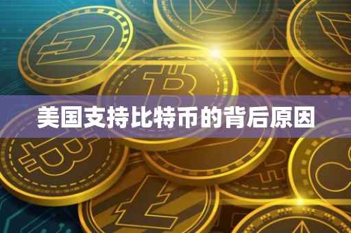 美国支持比特币的背后原因