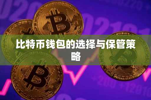 比特币钱包的选择与保管策略