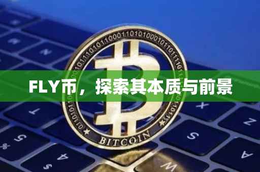 FLY币，探索其本质与前景