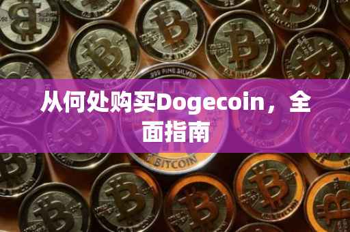 从何处购买Dogecoin，全面指南