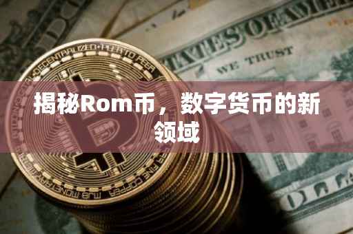 揭秘Rom币，数字货币的新领域