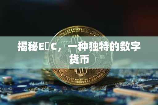 揭秘E丅C，一种独特的数字货币