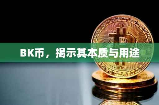 BK币，揭示其本质与用途