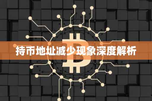 持币地址减少现象深度解析