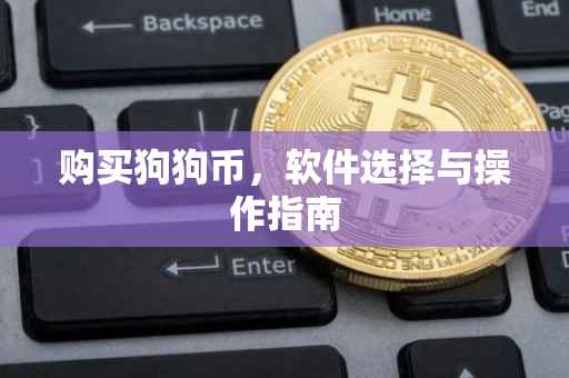 购买狗狗币，软件选择与操作指南