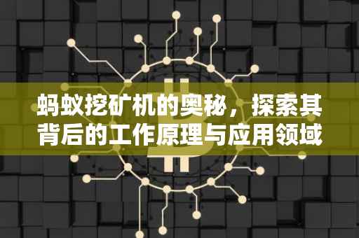 蚂蚁挖矿机的奥秘，探索其背后的工作原理与应用领域
