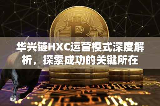 华兴链HXC运营模式深度解析，探索成功的关键所在