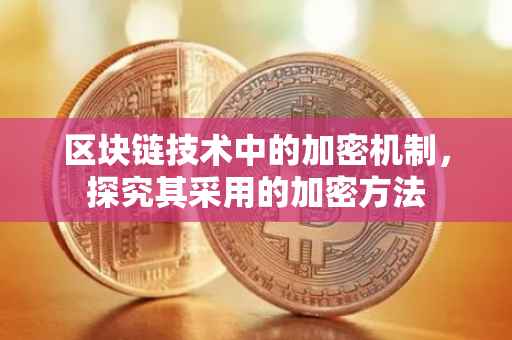 区块链技术中的加密机制，探究其采用的加密方法