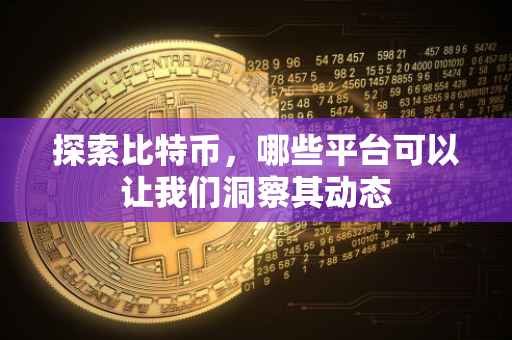 探索比特币，哪些平台可以让我们洞察其动态