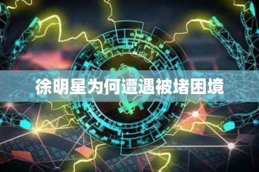 徐明星为何遭遇被堵困境