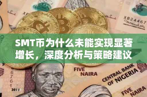 SMT币为什么未能实现显著增长，深度分析与策略建议