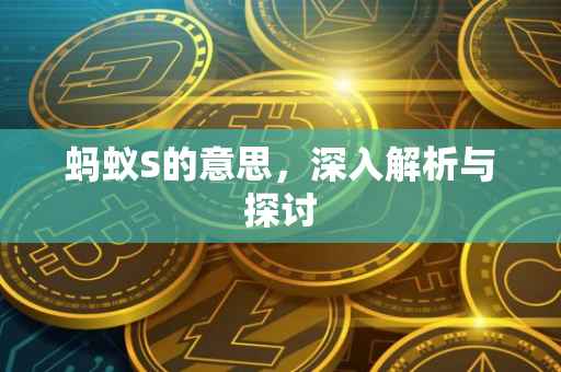 蚂蚁S的意思，深入解析与探讨