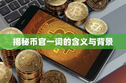 揭秘币官一词的含义与背景