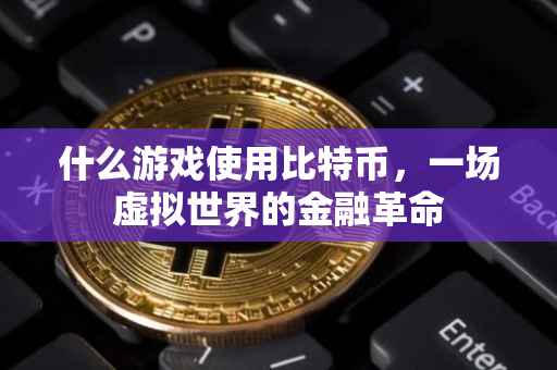 什么游戏使用比特币，一场虚拟世界的金融革命