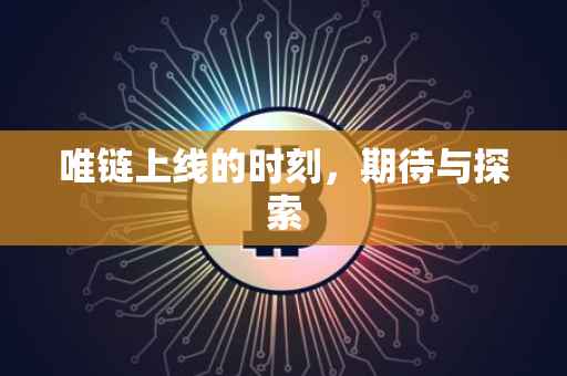 唯链上线的时刻，期待与探索