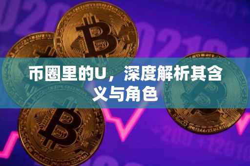 币圈里的U，深度解析其含义与角色