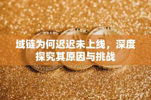 域链为何迟迟未上线，深度探究其原因与挑战