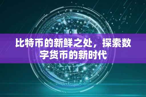 比特币的新鲜之处，探索数字货币的新时代