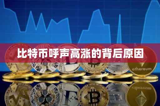 比特币呼声高涨的背后原因