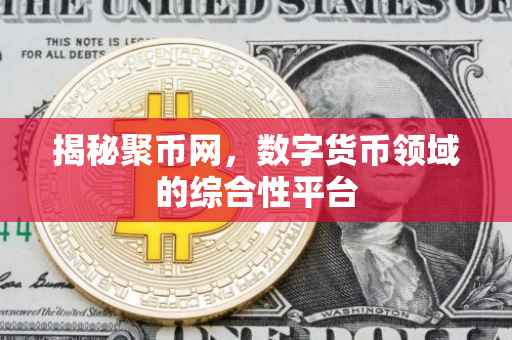 揭秘聚币网，数字货币领域的综合性平台