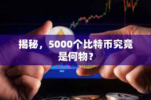 揭秘，5000个比特币究竟是何物？
