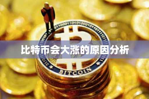 比特币会大涨的原因分析