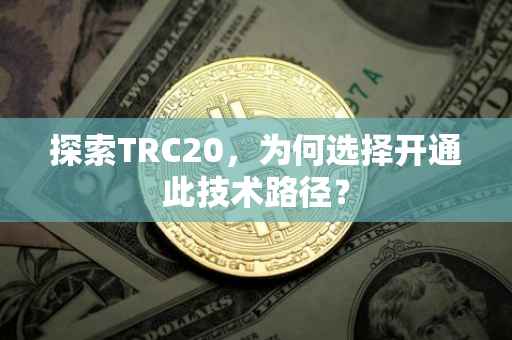 探索TRC20，为何选择开通此技术路径？