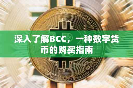 深入了解BCC，一种数字货币的购买指南