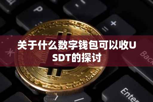 关于什么数字钱包可以收USDT的探讨