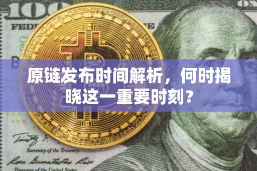 原链发布时间解析，何时揭晓这一重要时刻？