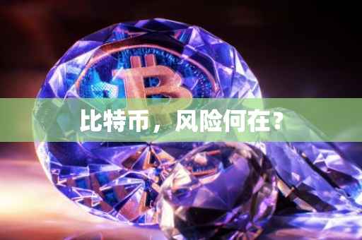 比特币，风险何在？