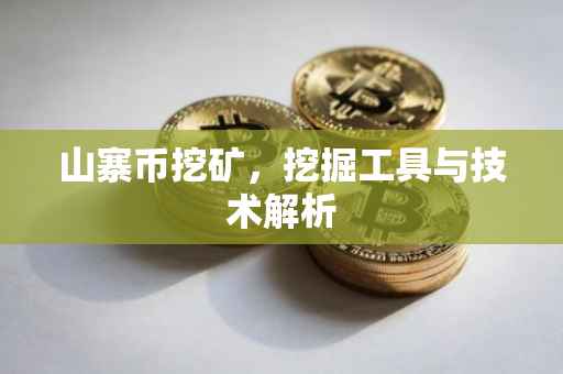 山寨币挖矿，挖掘工具与技术解析