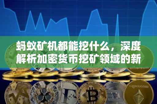 蚂蚁矿机都能挖什么，深度解析加密货币挖矿领域的新星