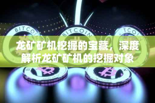 龙矿矿机挖掘的宝藏，深度解析龙矿矿机的挖掘对象