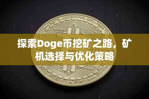 探索Doge币挖矿之路，矿机选择与优化策略
