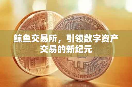 鲸鱼交易所，引领数字资产交易的新纪元